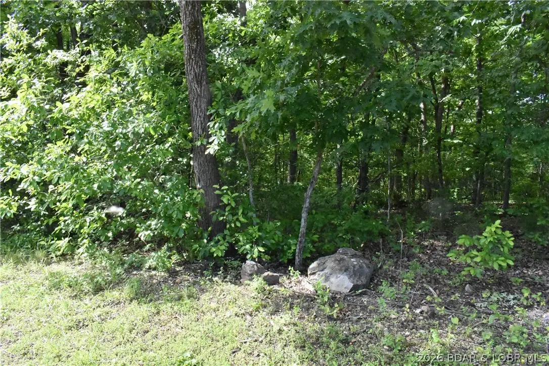 Lot 100 Horseshoe Bend Pkwy, Lake Ozark, MO 65049 - #1