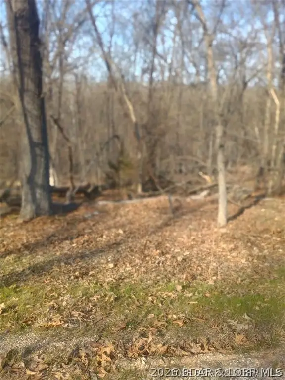 TBD LOT 46 Bloomington Drive, Village Of Four Seasons, MO 65049 - #2