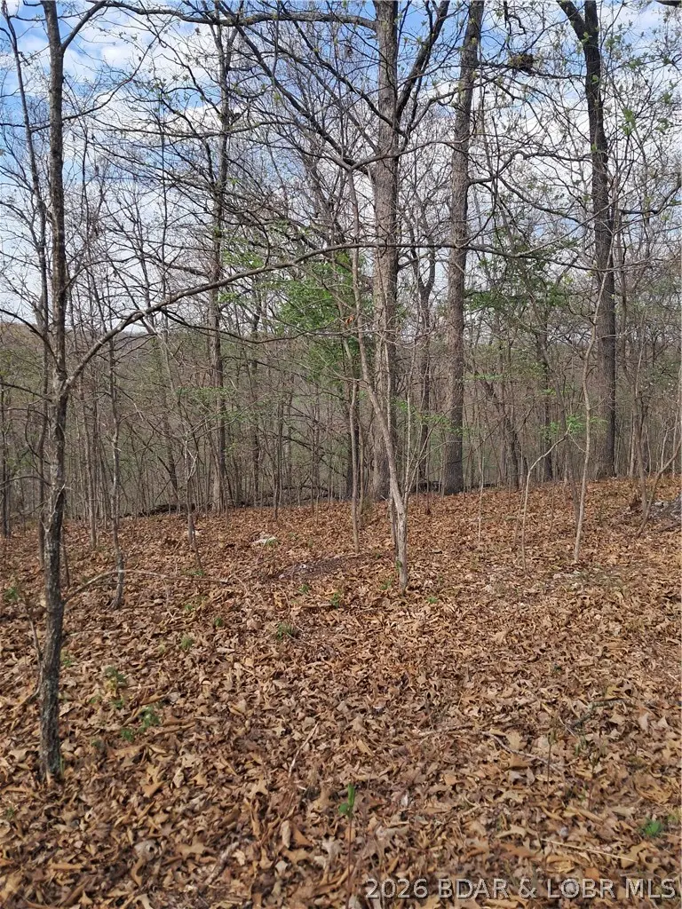 850 Ghost Water Road, Gravois Mills, MO 65037 - #3