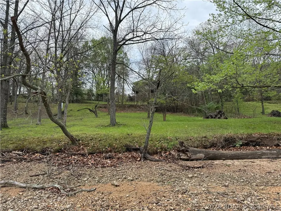 Island View, Camdenton, MO 65020 - #3