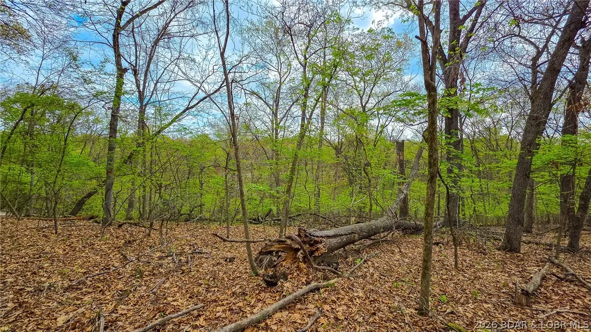 Lot #880 Muirfield Drive, Sunrise Beach, MO 65079 - #1