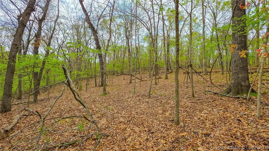 Lot #880 Muirfield Drive, Sunrise Beach, MO 65079 - #3