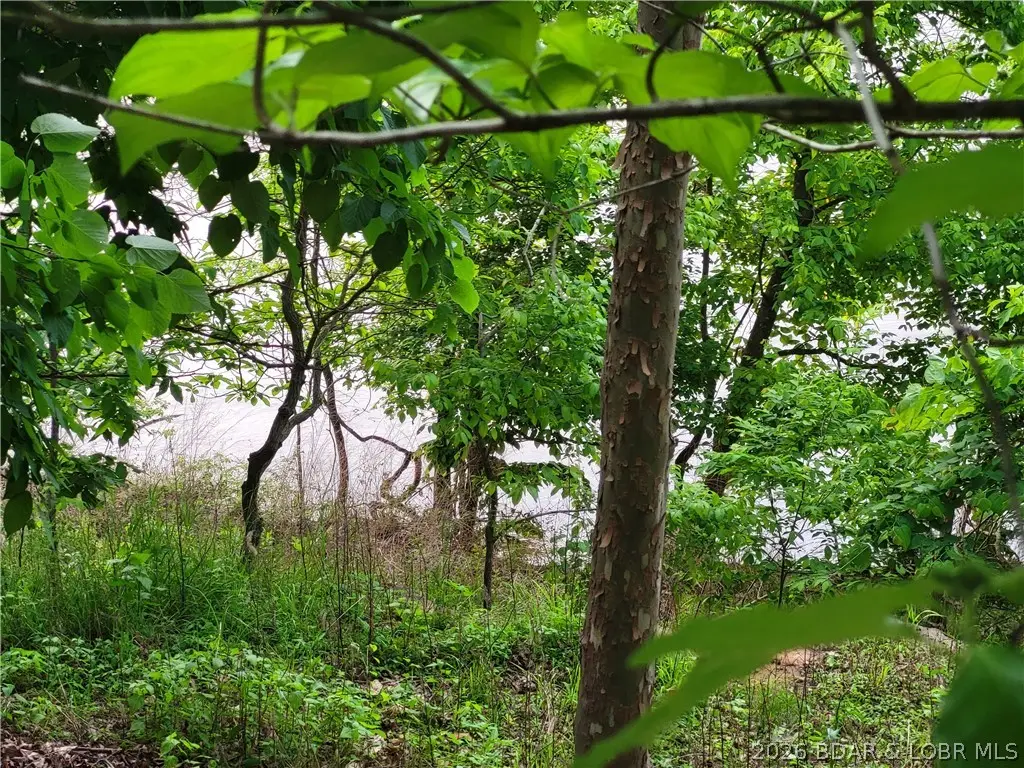 Emerald Hills Drive #Phase 5 Lot 2, Edwards, MO 65326 - #1