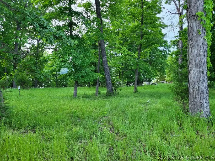 Emerald Hills Drive #Phase 5 Lot 2, Edwards, MO 65326 - #3