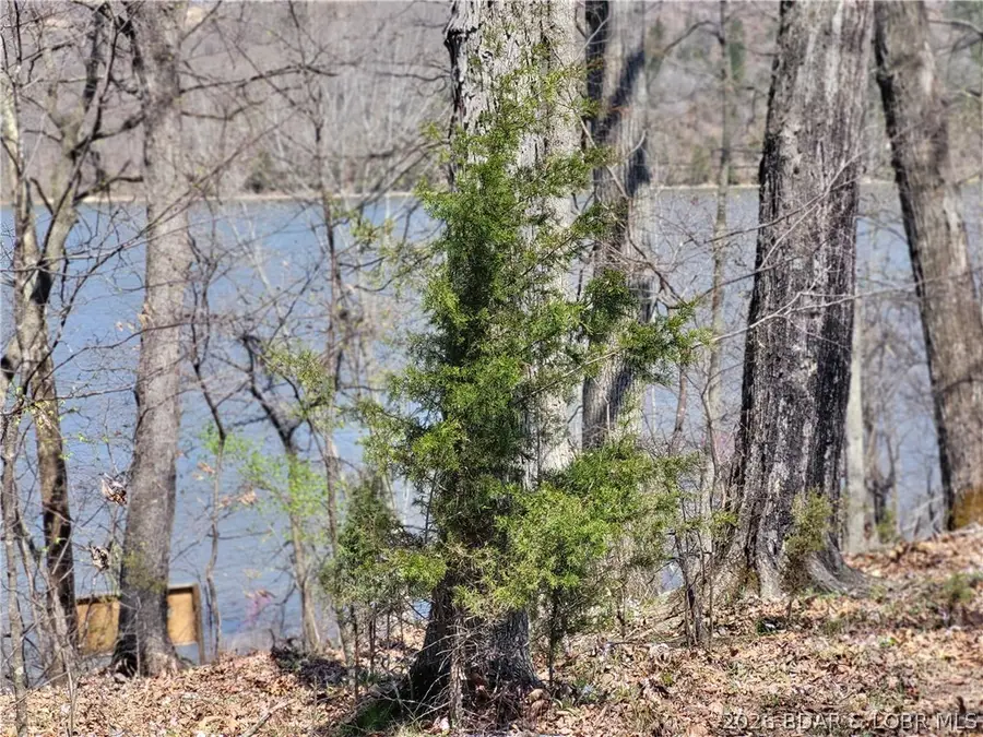 Emerald Hills Drive #Phase 4A Lot 2, Edwards, MO 65326 - #2