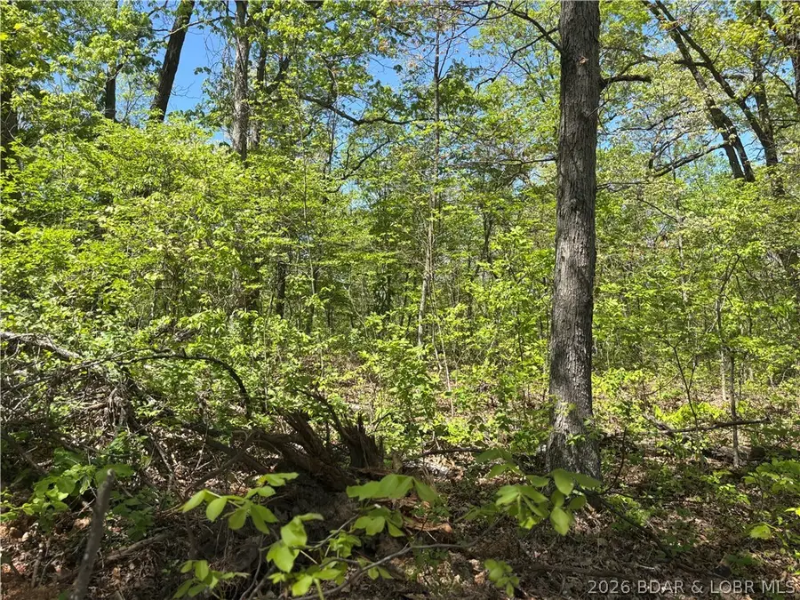 4.92 Ivy Bend Road, Stover, MO 65078 - #3