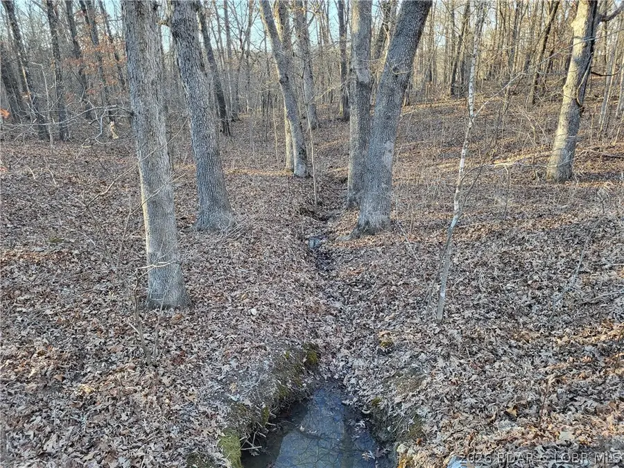 Wenzel Place #216, 217, 218 & 219, Edwards, MO 65326 - #2