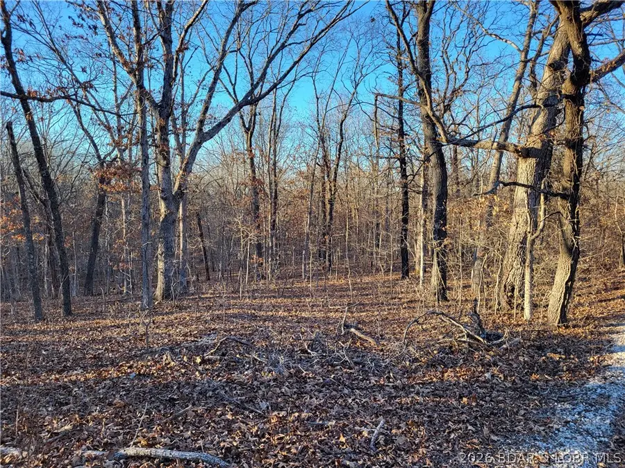 Wenzel Place #217,218 & 219, Edwards, MO 65326 - #3