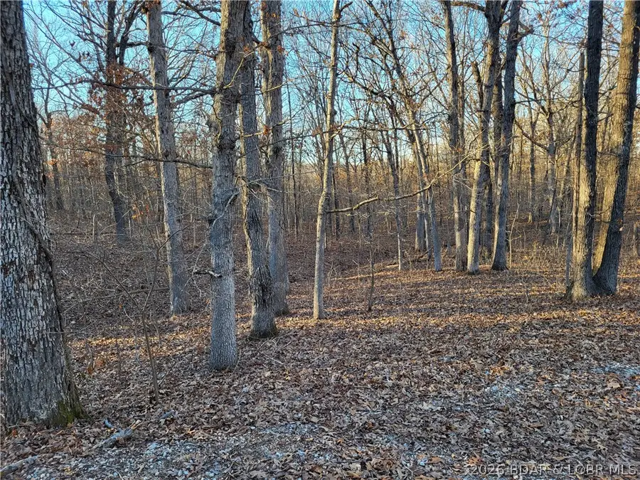 Wenzel Place #216, Edwards, MO 65326 - #2