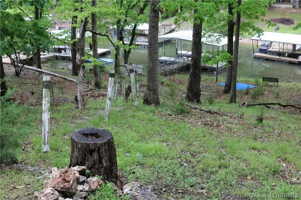 31800 Lakeview Lane, Gravois Mills, MO 65037