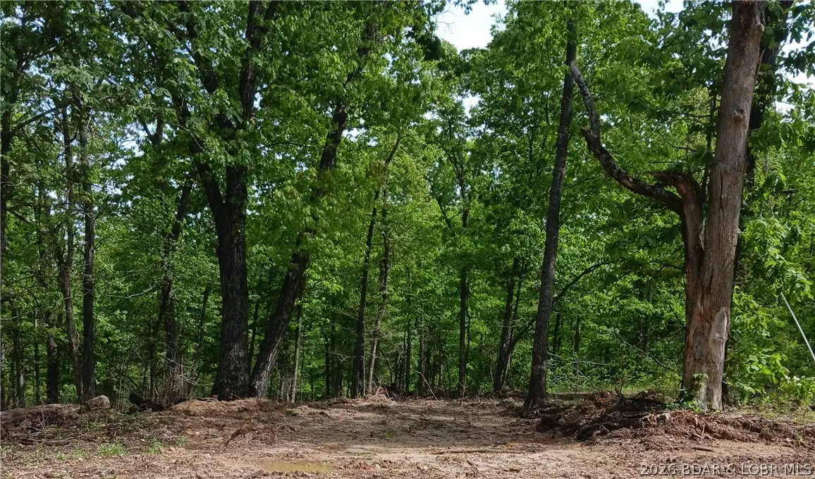 TBD Possum Trot Road, Stover, MO 65078 - #1