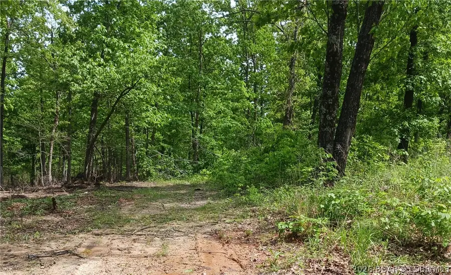 TBD Possum Trot Road, Stover, MO 65078 - #3
