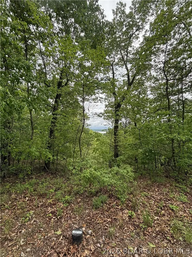Eagle Bay Drive, Gravois Mills, MO 65037 - #2