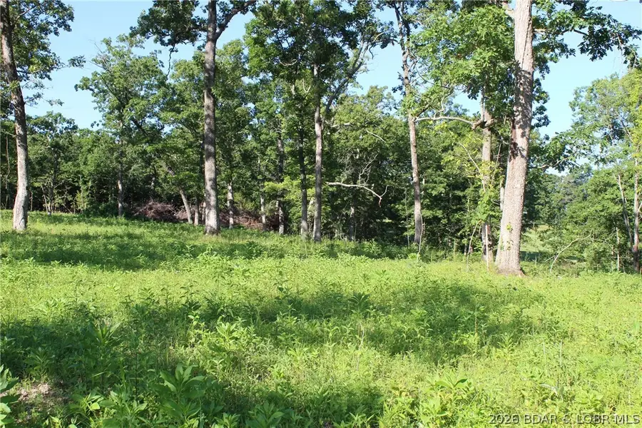 Lots 62&63 Osage Avenue, Laurie, MO 65037 - #2