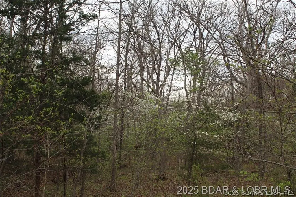 15516 Highway P, Gravois Mills, MO 65037 - #1