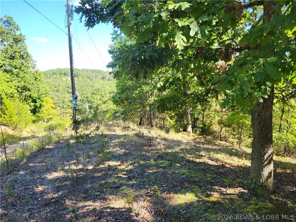 32534 Compromise Road, Gravois Mills, MO 65037 - #1