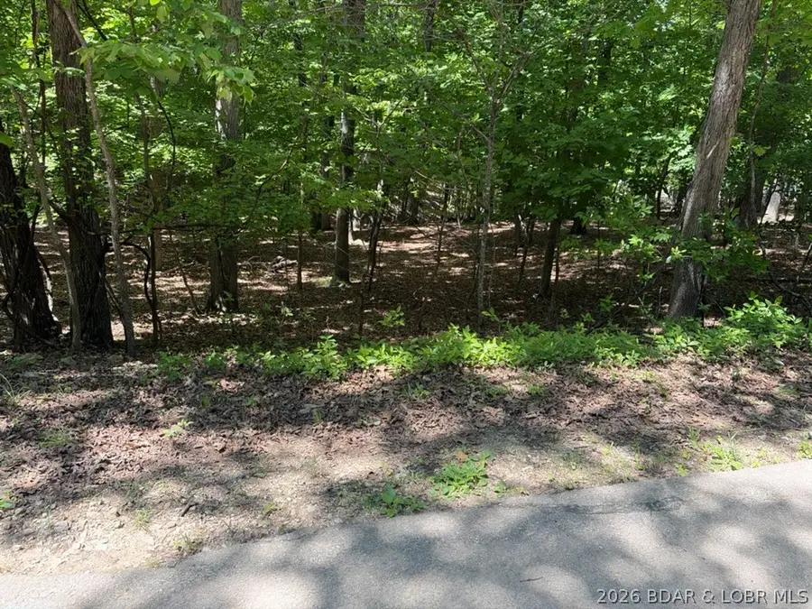 411 Grand View Drive, Sunrise Beach, MO 65079 - #2
