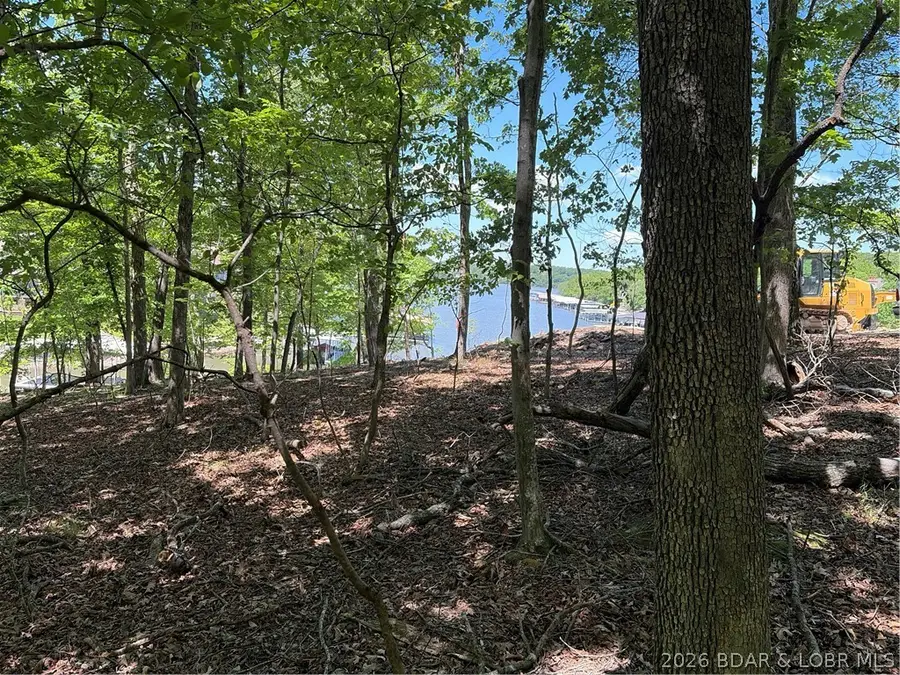 411 Grand View Drive, Sunrise Beach, MO 65079 - #3