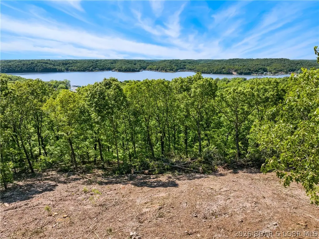 11.31 AC Wilson Bend Road, Gravois Mills, MO 65037 - #1