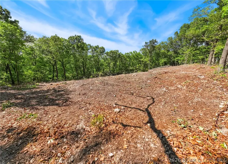 11.31 AC Wilson Bend Road, Gravois Mills, MO 65037 - #2