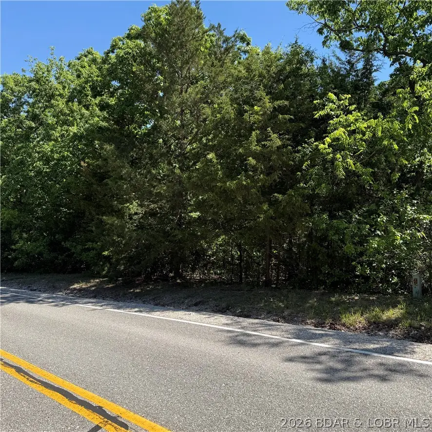 TBD Odelia Point, Village Of Four Seasons, MO 65049 - #2
