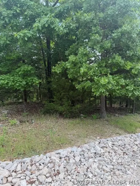 Lot 75 Regency Cove Drive, Village Of Four Seasons, MO 65049 - #2