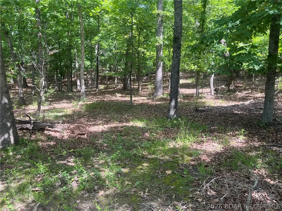 1371A Via Del Lago Drive, Sunrise Beach, MO 65079 - #3