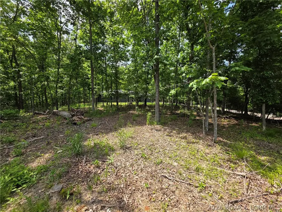 Lot 1255 Spring Creek Drive, Sunrise Beach, MO 65079 - #3