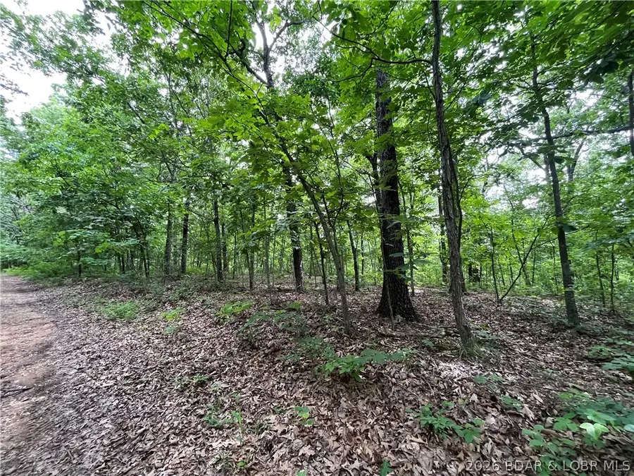 TBD Lake Forest Estates Road, Stover, MO 65078 - #2