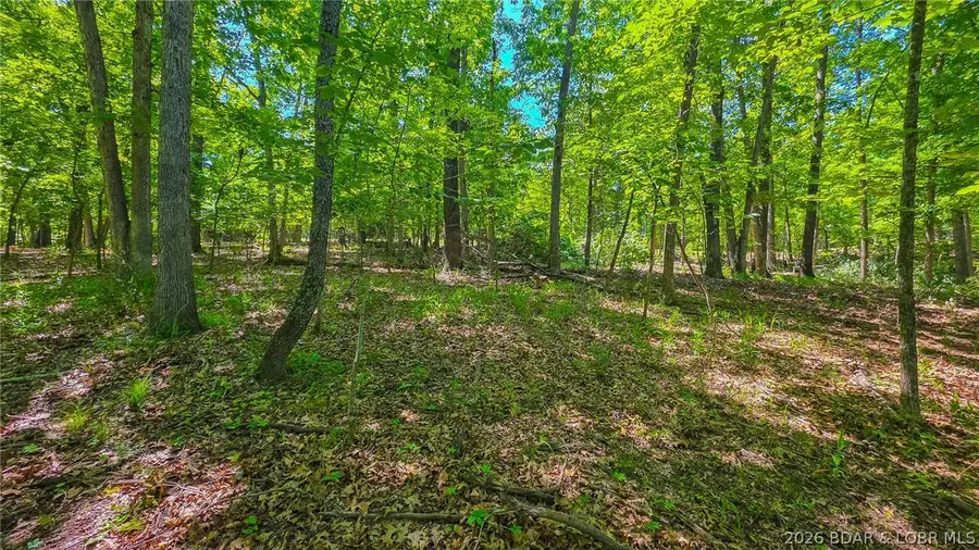 Lot #1190 Spring Creek Drive, Sunrise Beach, MO 65079 - #3