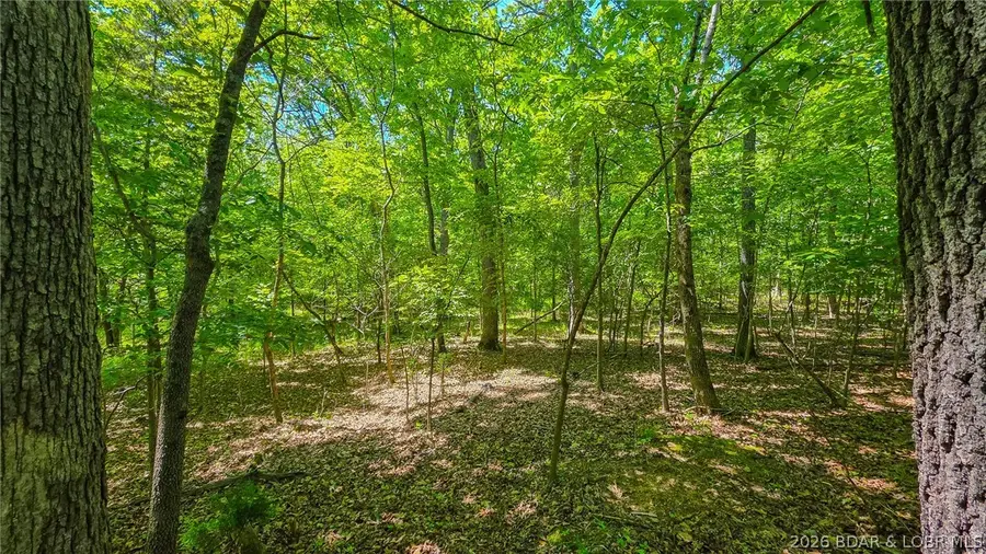 Lot #1150 Spring Creek Drive, Sunrise Beach, MO 65079 - #3