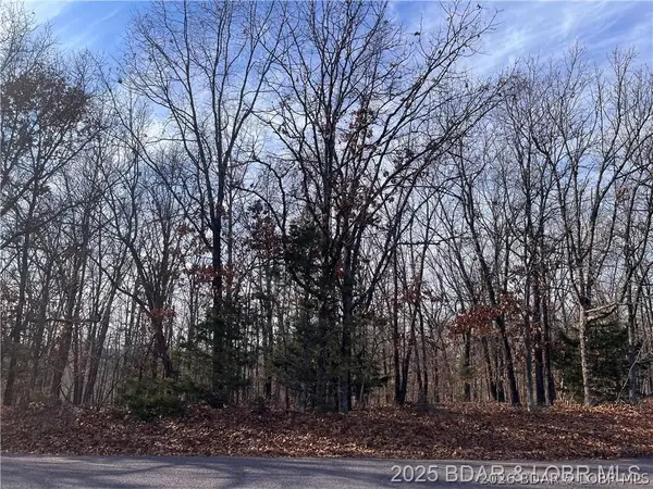 Lot 2, 3, 4 & 5 South Buck Creek Road, Gravois Mills, MO 65037
