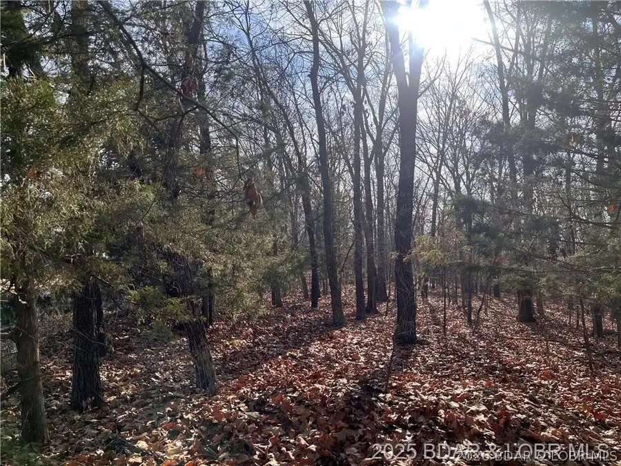 Lot 2, 3, 4 & 5 South Buck Creek Road, Gravois Mills, MO 65037 - #2