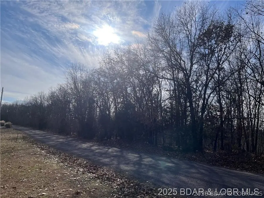 Lot 2, 3, 4 & 5 South Buck Creek Road, Gravois Mills, MO 65037 - #3
