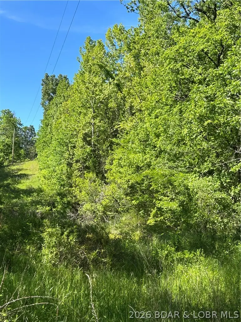 Rainwater And Patriot Roads, Montreal, MO 65591 - #2
