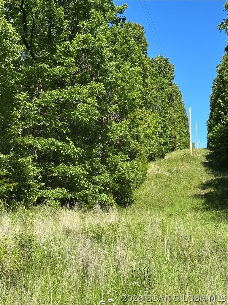 Rainwater And Patriot Roads, Montreal, MO 65591 - #3