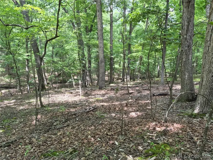 Lot 786 Muirfield Drive, Sunrise Beach, MO 65079 - #2