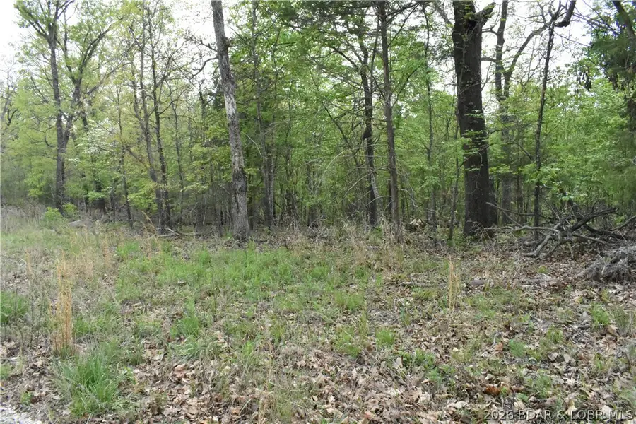 489 Chalk Hollow Point, Sunrise Beach, MO 65079 - #3