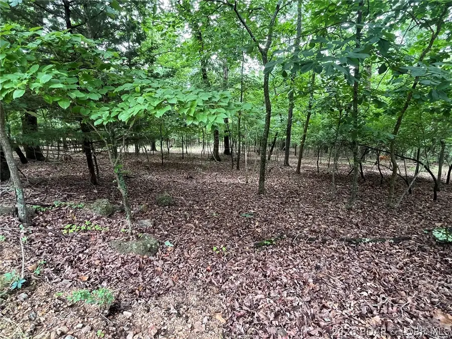Lot 672 Clover Lane, Lake Ozark, MO 65049 - #3