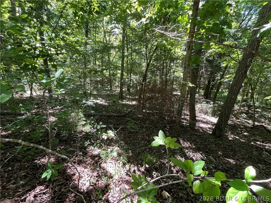Lot 1097 Salem Drive, Lake Ozark, MO 65049 - #3