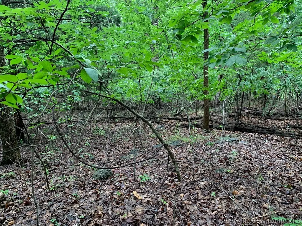 Lot 736 Linn Creek Road, Lake Ozark, MO 65049 - #1