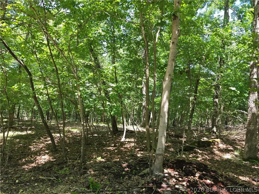 TBD Cooper Road, Gravois Mills, MO 65037 - #2