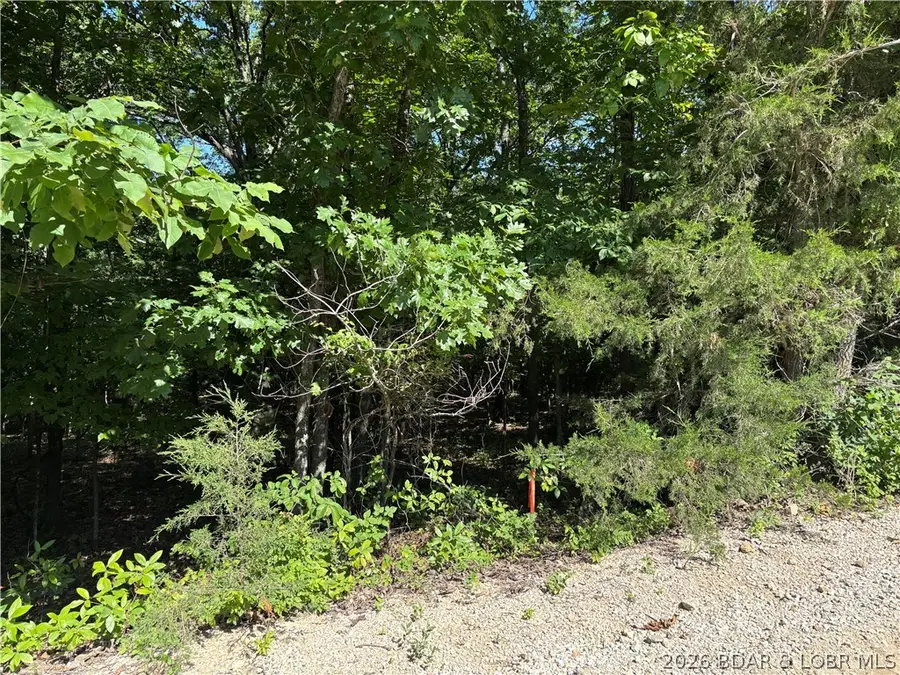 31222 Idyll Acres, Gravois Mills, MO 65037 - #2
