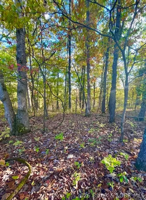 #6 Lakewood Lane, Barnett, MO 65011 - #2