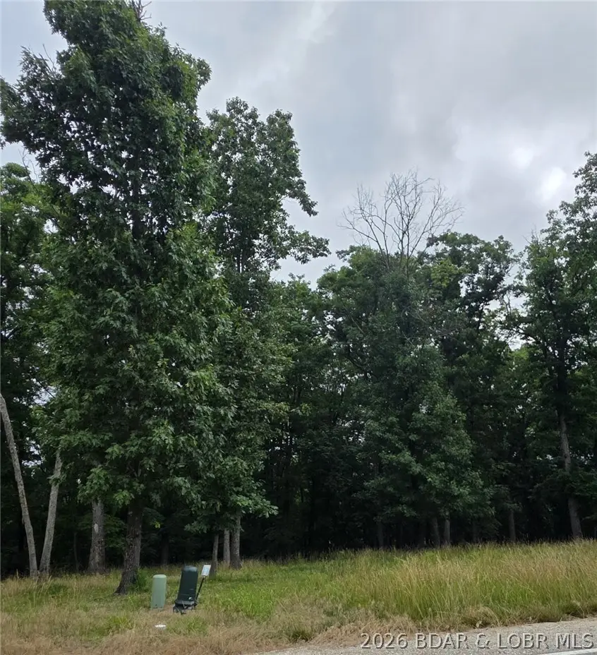 Lot 124 Terry Road, Lake Ozark, MO 65049 - #3
