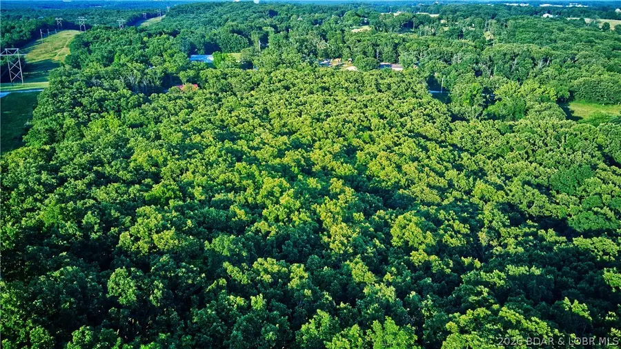 16629 Beaufort Road, Crocker, MO 65452 - #2