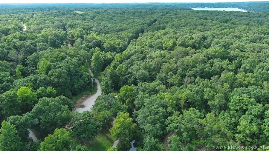 TBD Silvermoon Resort Road, Gravois Mills, MO 65037 - #3