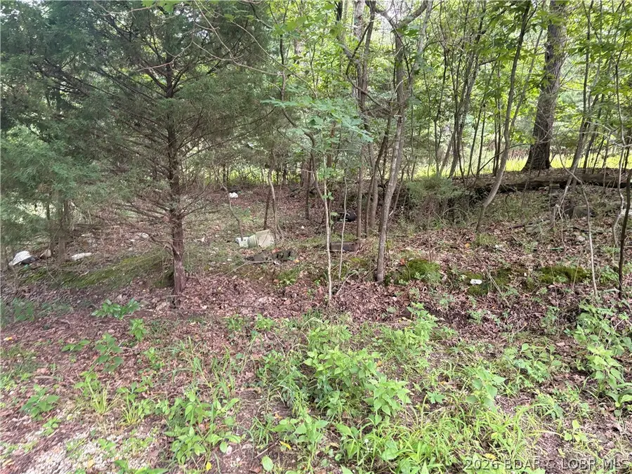 TBD Silvermoon Resort Road, Gravois Mills, MO 65037 - #3