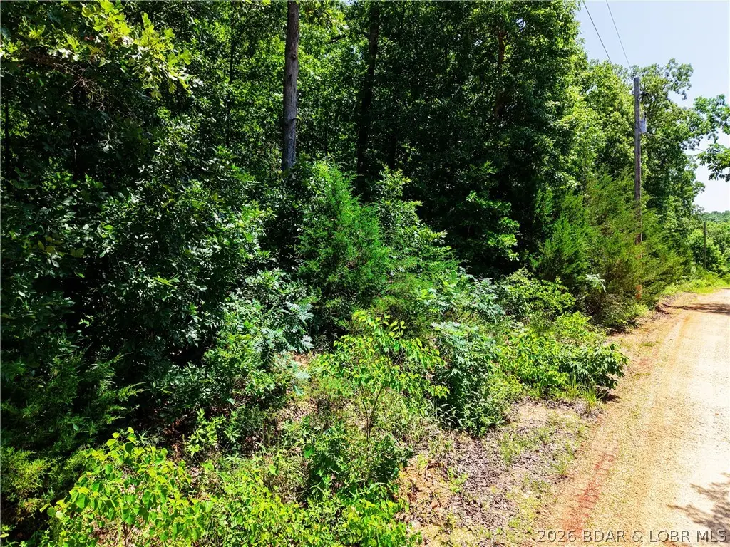Lot 106 Apache Lane, Rocky Mount, MO 65072 - #1