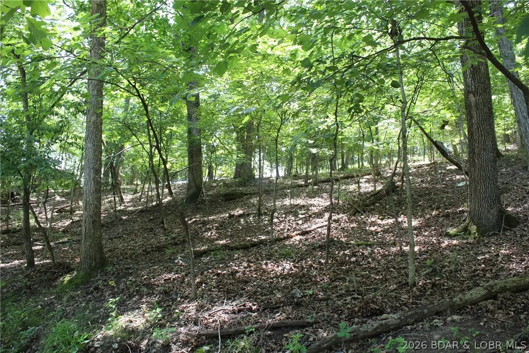 Karen Road, Gravois Mills, MO 65037 - #1